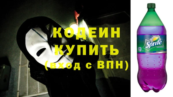 хмурый Арсеньев