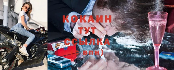 хмурый Арсеньев