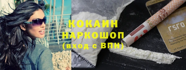 хмурый Арсеньев