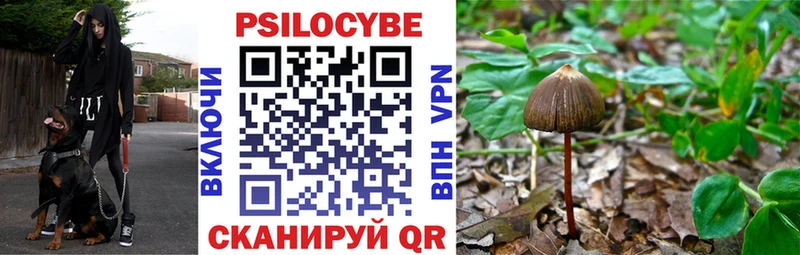 Купить где  Суоярви  Галлюциногенные грибы прущие грибы 